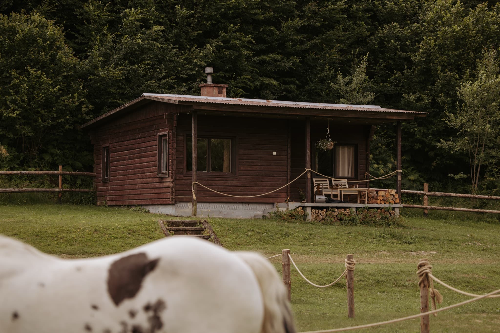 Domek nr 4